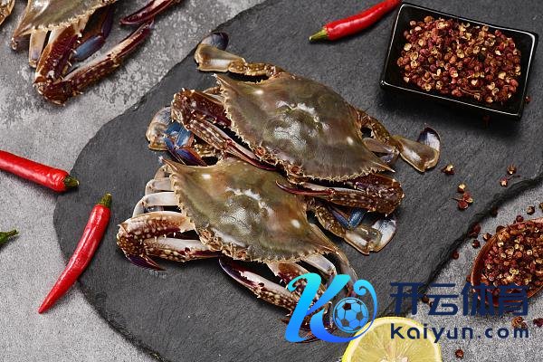 中国播送电视佳构创作大会报名开启 共赴嘉会共创翌日