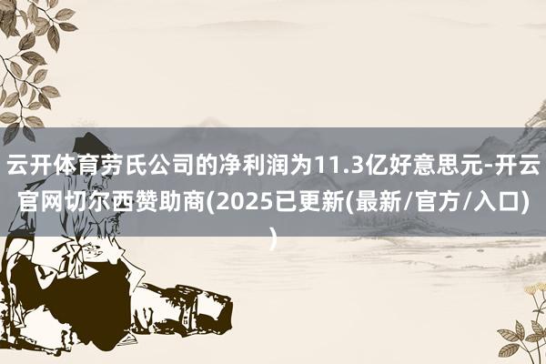 云开体育劳氏公司的净利润为11.3亿好意思元-开云官网切尔西赞助商(2025已更新(最新/官方/入口)