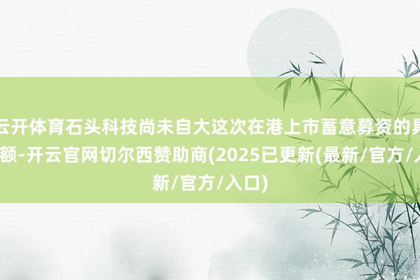 云开体育石头科技尚未自大这次在港上市蓄意募资的具体金额-开云官网切尔西赞助商(2025已更新(最新/官方/入口)