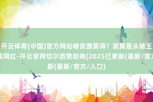 开云体育(中国)官方网站啥资源莫得？就算是头猪王人能捧成网红-开云官网切尔西赞助商(2025已更新(最新/官方/入口)