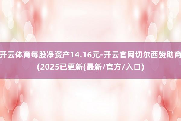 开云体育每股净资产14.16元-开云官网切尔西赞助商(2025已更新(最新/官方/入口)