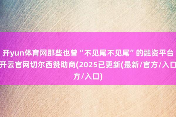 开yun体育网那些也曾“不见尾不见尾”的融资平台-开云官网切尔西赞助商(2025已更新(最新/官方/入口)