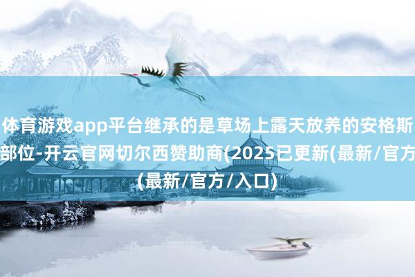 体育游戏app平台继承的是草场上露天放养的安格斯牛前腿部位-开云官网切尔西赞助商(2025已更新(最新/官方/入口)